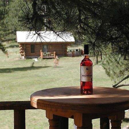 Renegade Log Cabin 커스터 외부 사진