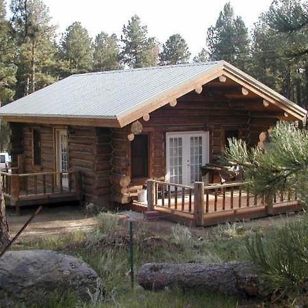Renegade Log Cabin 커스터 외부 사진